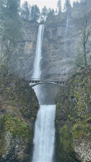 Multnomah Falls is a stunning 620-foot, two-tiered waterfall in Oregon's Columbia River Gorge, recognized as the tallest in the state and a premier Pacific Northwest attraction. Located 30 miles east of Portland, it features a famous 1914 pedestrian bridge, a historic lodge, and year-round flow. The site is best visited early or late in the day to avoid peak crowds. #Oregon #columbiarivergorge #waterfalls #traveloregon #multnomahfalls | Casey Lee Swayze