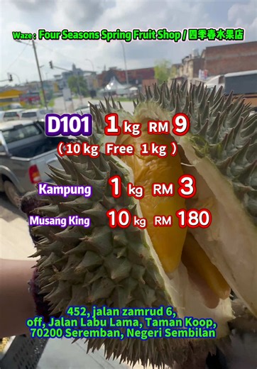 🚨**芙蓉 Seremban 的朋友们，快来帮帮忙！**🥹 榴莲真的太多了，老板快顶不住了！😂 现在正值榴莲丰收旺季，品质越来越好，价格却跌到超值！ 🌟 新鲜现开，果肉饱满，香气浓郁，口感绵密香甜，每一口都是满满的榴莲幸福感！ 🔥 促销价： 🥭 土种榴莲 —— 1kg 只需 RM 3 🥭 D101 榴莲 —— 1kg 只需 RM 9 🎁 购买 10kg D101 免费送 1kg！ ⚠️ 数量真的很多，欢迎大家快来支持，售完为止！ 📍Waze 店名 ：Four Seasons Spring Fruit Shop / 四季春水果店 📍Alamat 地址 ：452, Jalan Zamrud 6, Off Jalan Labu Lama, Taman Koop, 70200 Seremban, Negeri Sembilan. ⸻—————————————————— 🥹 Kawan-kawan di Seremban, tolong datang support sikit! Durian terlalu banyak sampai susah nak habiskan