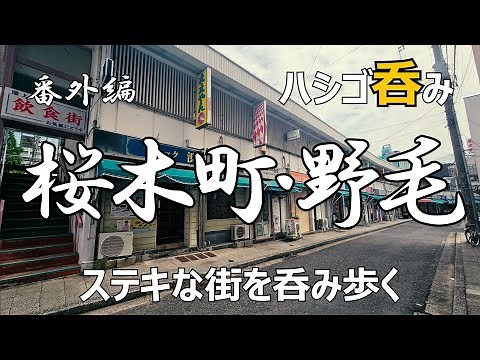 【番外編】横浜桜木町 野毛 呑み歩きまとめ