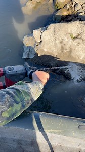 408K views · 1.3K reactions | The Milwaukee hammer drill gets it done every time!  #fbreelsfypシ゚viralfbreelsfypシ゚viral #outdoors #Missouri #hammerdrill #milwaukeetools #teamwork #fishing #fishinglife #catfishing #alternativemethod | Corey & Steph | Facebook