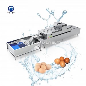 [Hot Item] Loading Candling Duck Egg Drying Machine Egg Washing Cleaning Machine