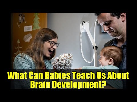 What Can Babies Teach Us About Brain Development? | Unlocking Early Brain Secrets