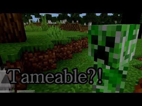 Minecraft PE How to tame a Creeper