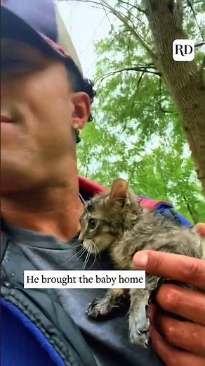 Kitty Found in Trash