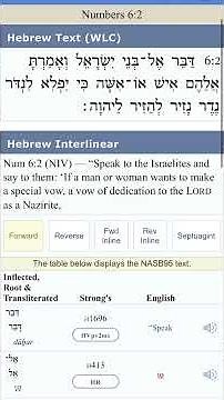How to study the Bible using blue letter Bible app #studybibles #christianshorts