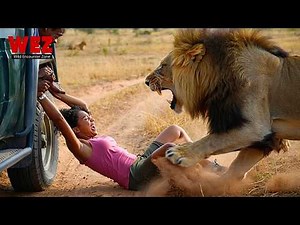 55 Most INTENSE Wildlife Encounters Caught on Camera | Animal Encounters #2