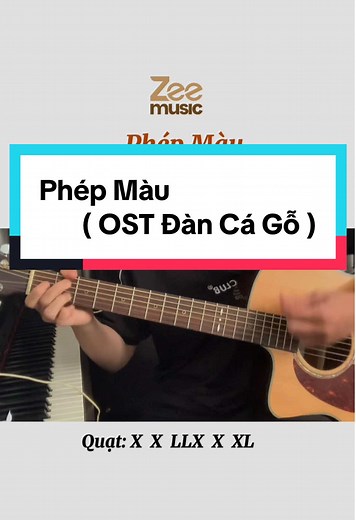 Hướng Dẫn Chơi Guitar Phép Màu Dành Cho Người Mới Bắt Đầu