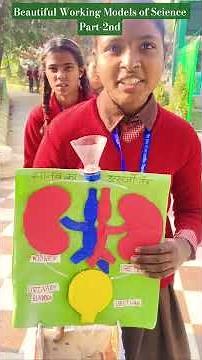 Beautiful Working Models of Science #science #model #new #shorts #trending #ytshorts #yt #viral #fun