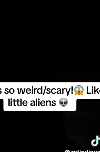 Little alien bugs eating very loud 😱😂👽🪲 #aliens #bugseating #munching #insectseating #inthemiddleofnowhere