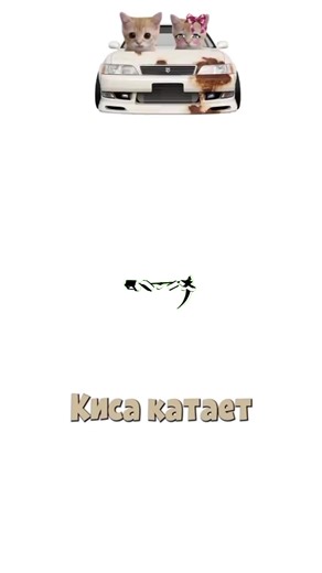 #марк #марк2 #эдит #эдитор #кисы