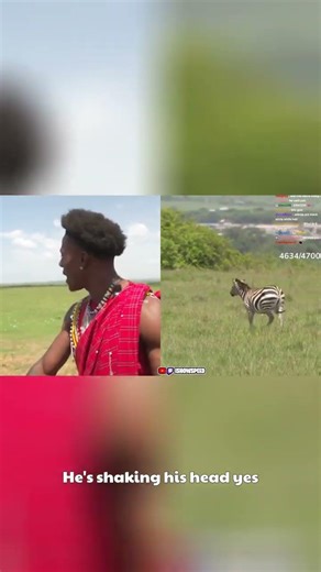 Can Speed Really Talk to Zebras? Watch This Funny Exchange!