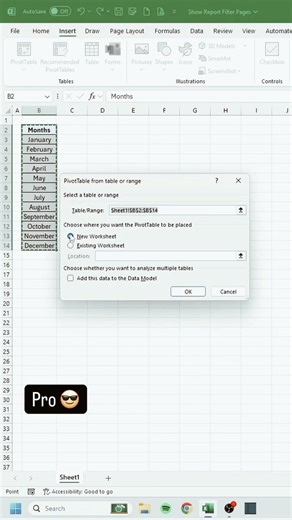 Excel Ka Hidden Feature 🤯 | Report Filter Pages in 30 Sec #shorts