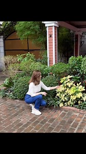 Patio Victoria Intramuros #weddings #events #parties #catering | Cristina Gonzalez