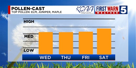 Pollen sufferers: What you can do!