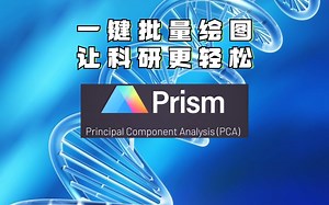 【科研绘图】批量绘图省烦恼—Graphpad