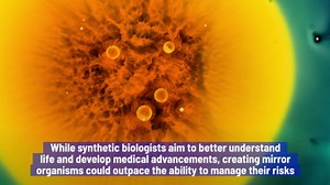 Scientists Warn Of The ‘Unprecedented Risks’ Of Mirror Bacteria