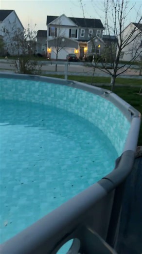 Spring Has Sprung 🌸🏊‍♀️