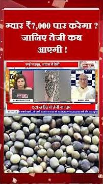 ग्वार ₹7,000 पार करेगा ? जानिए तेजी कब आएगी ! #guarseed #guar #guargum #mandi #guarkabhavtoday