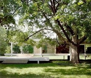 The Farnsworth House - The structure