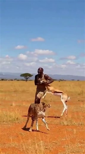 Man Outruns a Cheetah While Screaming and Saves a Gazelle! 🦌🏃‍♂️🐆