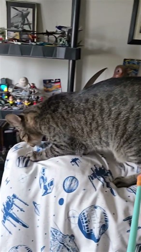 slo mo attack! (he was so amped up he overshot his target.)