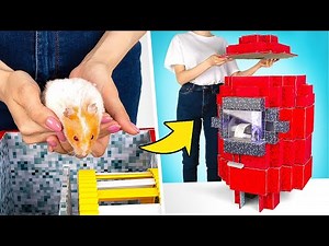 Labyrinthe De Cinq Étages Avec Obstacles Pour Hamster