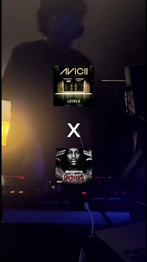 Levels x No Hands (Avicii, Waka Flocka Flame) mashup #levels #avicii #nohands #wakaflockaflame #dj
