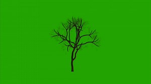 Download Trees on a green background. Seamless looping 4k time-lapse animation background for free