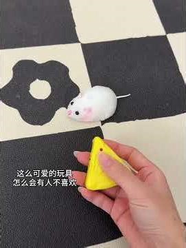 Remote control mouse # Try something new # Remote control car