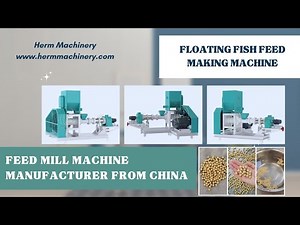 How the Dry Type Floating Fish Feed Pellet Making Machine Works - Herm Machinery #feedpelletmachine