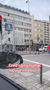 753 reactions · 3 comments | Ion Stefana on Reels | Facebook