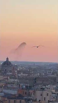 Stunning starling murmuration over Rome, Italy