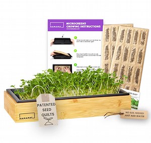 [Hot Item] Microgreens Growing Kit & Powerhouse Veggies Home Microgreens Growing Kit Superfoods Microgreens Seeds Grow Superfood Veggies and Supergre