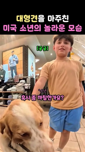 The Surprising Way an American Boy Reacted to a Large Dog