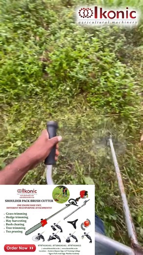 46K views · 244 reactions | CUTTING VS CLEARING USING THE BRUSH...