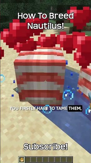 How To Breed Nautilus In Minecraft?!