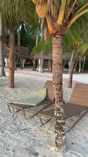 At Coco Grove beach resort Siquijor island Philippines 🇵🇭
