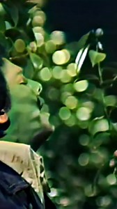 49K views · 1.7K reactions | ‘La nave del olvido’ es una emotiva...