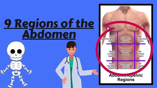 9 Regions of Abdomen made simple