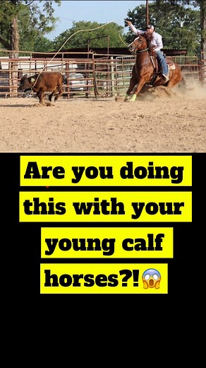 I’m Are you doing this with your young calf horses?😱 #rodeo #calfroping #lessons #tiedownroping #teaching #coaching #horses #horsetraining #horsetrainer #horsemanship #roper #rodeogym #onlinecoachingtips | Rodeo Gym