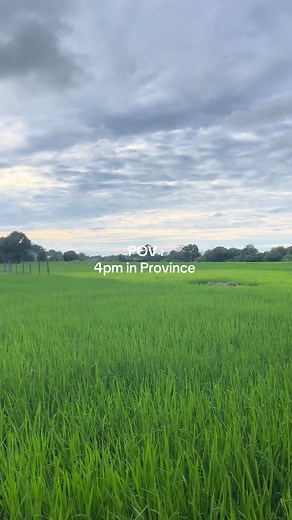 EdwardG (@eyyyyyydward)’s videos with original sound - UV Express Playlist