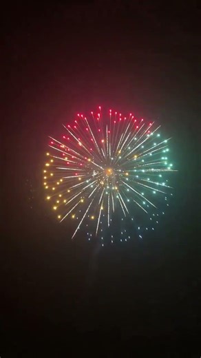 4” Diamond #viral #fireworks #phaohoa