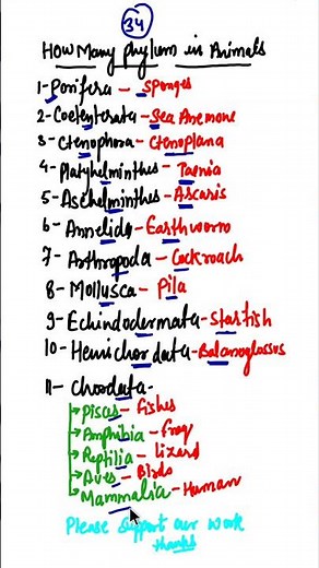 Animal Kingdom All Phylum names & Example #shorts #animalkingdomclass11 #phylum #animalkingdom