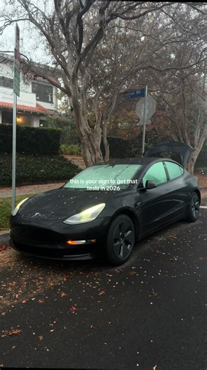 one of the best investments i’ve made #teslatok #teslamodel3 #teslaaccessories