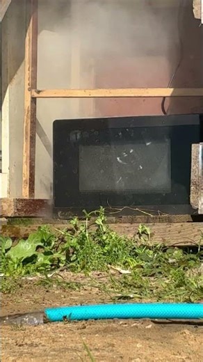EXPLODING STUFF IN A MICROWAVE💣🤯#viral
