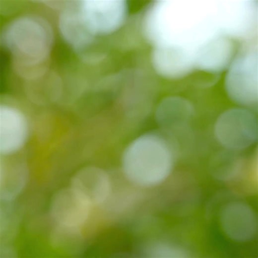 1.1K views · 25 reactions |  NEW TRIPS JUST LAUNCHED!  We’ve been...