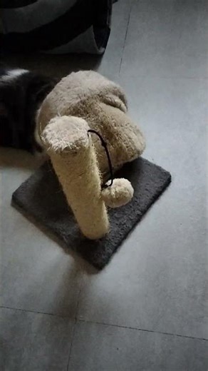 lancé de balle 🤣