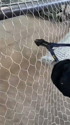 Cutting Chicken Wire: Hand Using Large Blue Bolt Cutting Pliers to Separate Mesh Wire