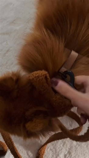  De Herfst Was Nog Nooit Zo Schattig — en Zo Gezellig! De favoriete Teddy Collectie van onze klanten is terug in pre-order — en je krijgt 15% KORTING als je vroeg bestelt! ✨ Dit ligt er in het verschiet voor jouw pup:  Limited edition, exclusieve designs  Vroege toegang = 15% KORTING  Levering vanaf begin november 笠 Deze knusse stijlen zijn altijd snel uitverkocht — zorg dat jouw pup niets mist!  Pre-order nu via www.woofle.nl | Woofle. | Facebook