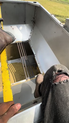 Exploring the New Holland 8060 and 1545 Tractors